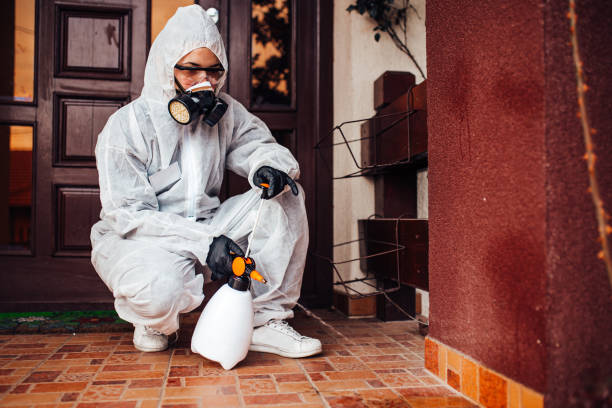 Reliable Cockroach Control contractor in Rogue River, OR by Nex Pest Control